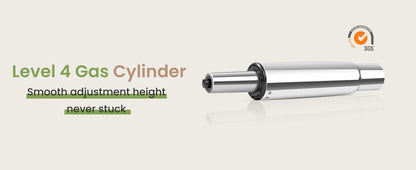 Ergonomic Reclining Chair High Back with Lumbar Support, Large Home Office Chair